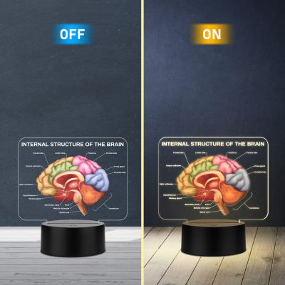 3D Illusion Internal Structure of The Brain LED Lamp, Anatomical Brain Model Light with Warm White Light Black Base, Educational Medical Decor Science Student & Doctor Clinic Decor